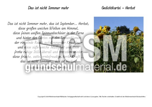 Das-ist-nicht-Sommer-mehr-Flaischlen.pdf